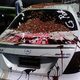 Image for article titled Kings Rookie Donté Greene Foolishly Screws With Bobby Jackson's Mercedes AMG